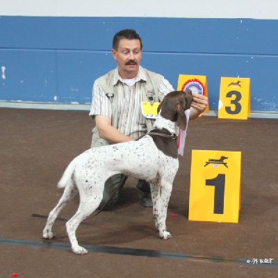 De la louviere en champagne - 81 iéme DOG SHOW LUXEMBOURG