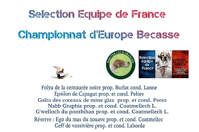 De la louviere en champagne - Championnat d'Europe sur bécasses