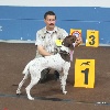  - 81 iéme DOG SHOW LUXEMBOURG