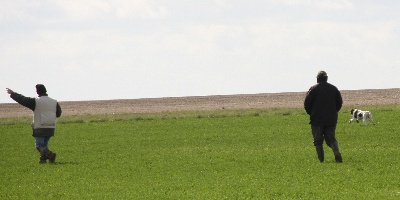 De la louviere en champagne - Résultats de TR DJAMBA